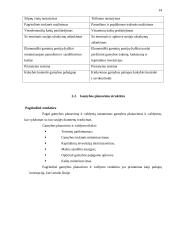 Logistikos charakteristikos įmonėje 14 puslapis