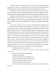 Logistikos centrai 5 puslapis