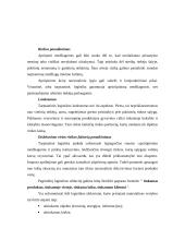 Logistikos pagrindai 13 puslapis