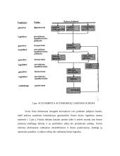 Logistikos pagrindai 15 puslapis