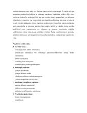 Logistikos pagrindai 18 puslapis