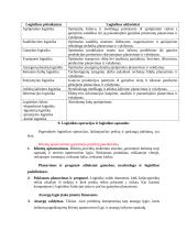 Logistikos pagrindai 20 puslapis