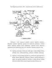 Logistikos pagrindai 3 puslapis
