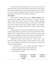 Logistikos pagrindai 5 puslapis