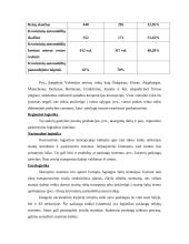 Logistikos pagrindai 6 puslapis