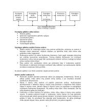 Logistikos planavimas ir valdymas 8 puslapis