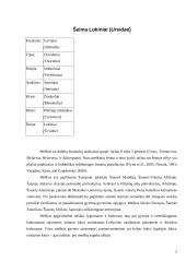 Lokinių (Ursidae) įvairovė ir paplitimas 2 puslapis