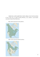 Lokinių (Ursidae) įvairovė ir paplitimas 12 puslapis