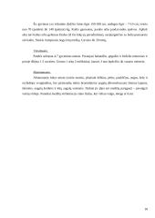 Lokinių (Ursidae) įvairovė ir paplitimas 18 puslapis