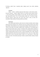 Lokinių (Ursidae) įvairovė ir paplitimas 4 puslapis