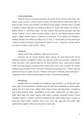 Lokinių (Ursidae) įvairovė ir paplitimas 6 puslapis