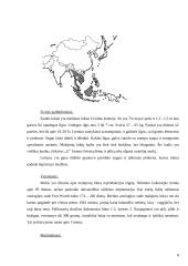 Lokinių (Ursidae) įvairovė ir paplitimas 8 puslapis