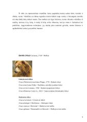 Lokinių (Ursidae) įvairovė ir paplitimas 9 puslapis
