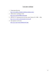 Lucent "Call Center" valdymas 18 puslapis