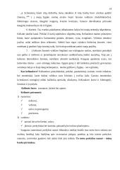 M. Waltari "Sinuhė egiptietis" 13 puslapis