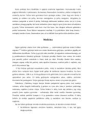 M. Waltari "Sinuhė egiptietis" 8 puslapis