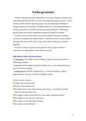 Gyvename tam, kad valgytume, ar valgome tam, kad gyventume? Maistas kaip kultūra 4 puslapis