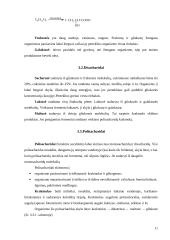 Maisto medžiagos (baltymai, lipidai, angliavandeniai) - organizmo energijos šaltinis  11 puslapis