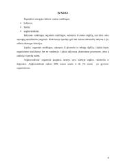 Maisto medžiagos (baltymai, lipidai, angliavandeniai) - organizmo energijos šaltinis  4 puslapis