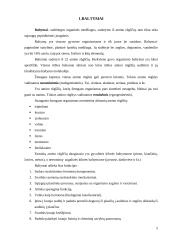 Maisto medžiagos (baltymai, lipidai, angliavandeniai) - organizmo energijos šaltinis  5 puslapis