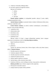 Maisto medžiagos (baltymai, lipidai, angliavandeniai) - organizmo energijos šaltinis  6 puslapis