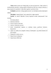 Maisto medžiagos (baltymai, lipidai, angliavandeniai) - organizmo energijos šaltinis  9 puslapis