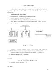 Maisto medžiagos (baltymai, lipidai, angliavandeniai) - organizmo energijos šaltinis  10 puslapis