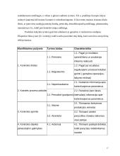 Maisto prekių klasifikavimas ir ekspertizė 17 puslapis