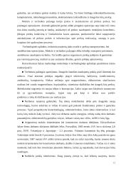 Marketingo makro aplinka 11 puslapis