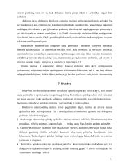 Marketingo makro aplinka 13 puslapis