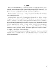 Marketingo makro aplinka 3 puslapis