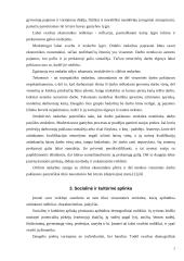 Marketingo makro aplinka 5 puslapis