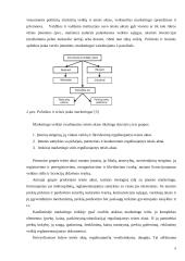 Marketingo makro aplinka 8 puslapis