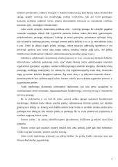 Marketingo makro aplinka 9 puslapis