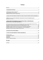 Makroekonomikos pusiausvyros susidarymas