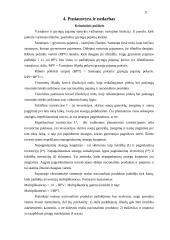 Makroekonomikos pusiausvyros susidarymas 11 puslapis