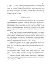 Makroekonomikos pusiausvyros susidarymas 13 puslapis