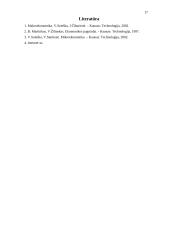 Makroekonomikos pusiausvyros susidarymas 17 puslapis