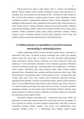 Makroekonomikos pusiausvyros susidarymas 6 puslapis