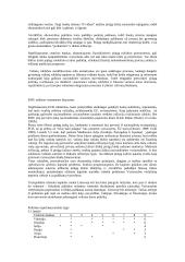 Makroekonominiai rodikliai 6 puslapis