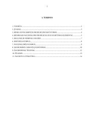 Makroekonominių procesų įvertinimas 2 puslapis