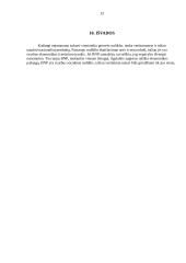 Makroekonominių procesų įvertinimas 13 puslapis