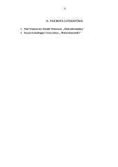 Makroekonominių procesų įvertinimas 14 puslapis