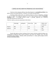 Makroekonominių procesų įvertinimas 4 puslapis