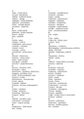 Managing in Global Environment 14 puslapis
