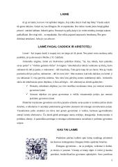 Mano laimė ir kitų 3 puslapis