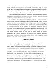 Mano laimė ir kitų 7 puslapis