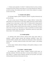 Marketingo aplinka ir konkurencija 4 puslapis