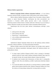 Marketingo elementas – reklama 7 puslapis