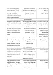 Marketingo elementas – reklama 10 puslapis